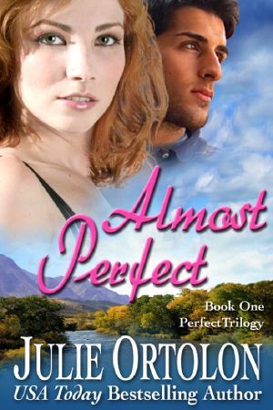 [Perfect Trilogy 01] • Almost Perfect